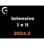  Anual - INTENSIVOS I e II (G7 2024)  Carreiras Jurídicas